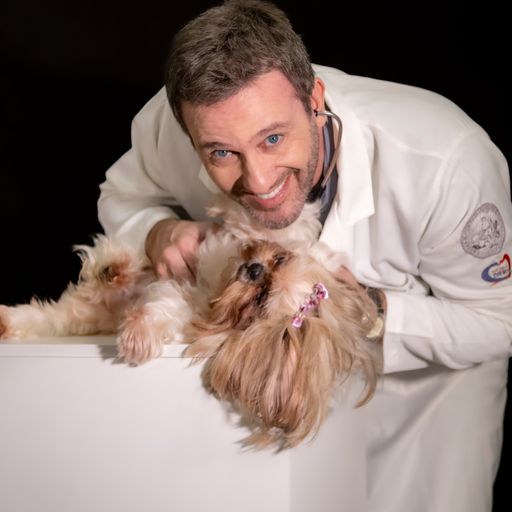 Imagem do grupo PÓS-GRADUAÇÃO EM CLÍNICA E EMERGÊNCIAS DE PEQUENOS ANIMAIS